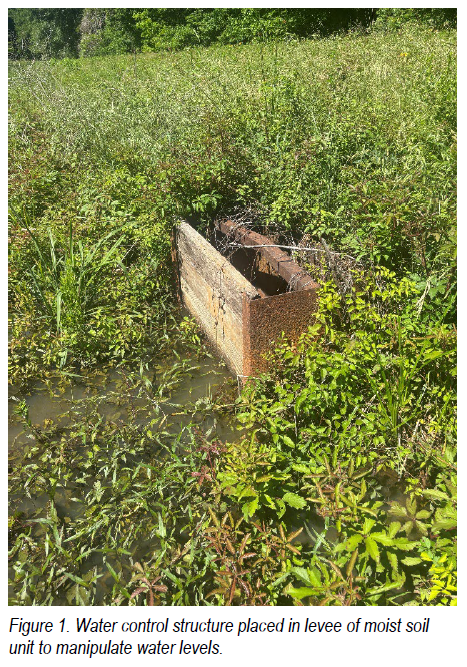 Figure 1 Water Control Structure.